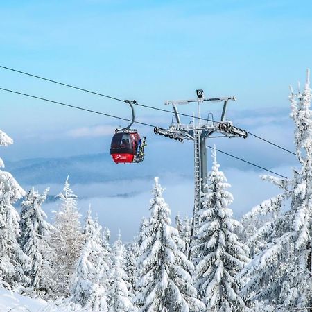 Bukova Lodge Bukowina Tatrzańska Εξωτερικό φωτογραφία