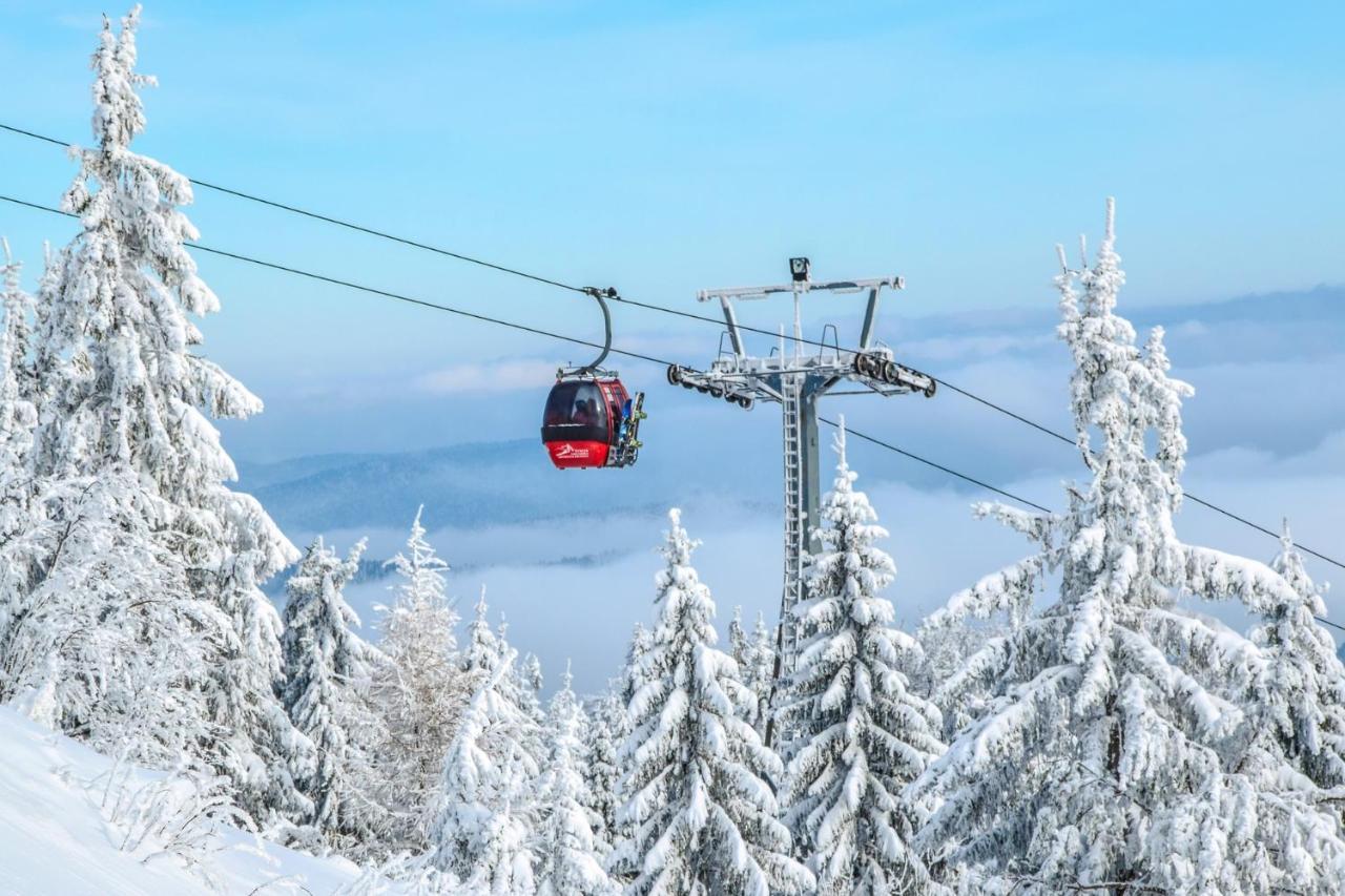 Bukova Lodge Bukowina Tatrzańska Εξωτερικό φωτογραφία